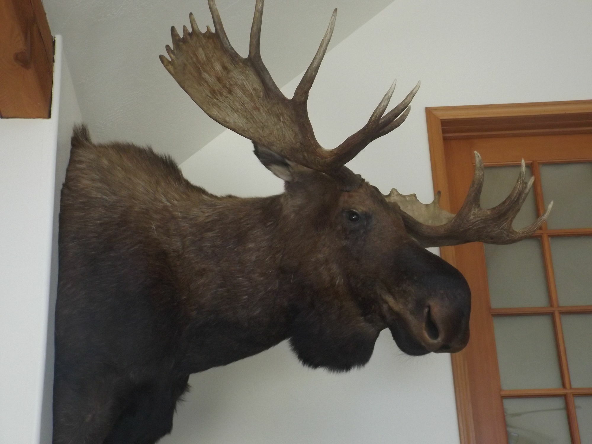 Clark Fork Lodge 外观 照片